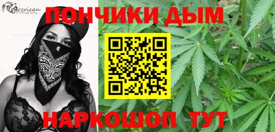 крисы Кулебаки