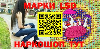 крисы Кулебаки
