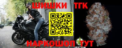 крисы Кулебаки