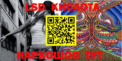 крисы Кулебаки